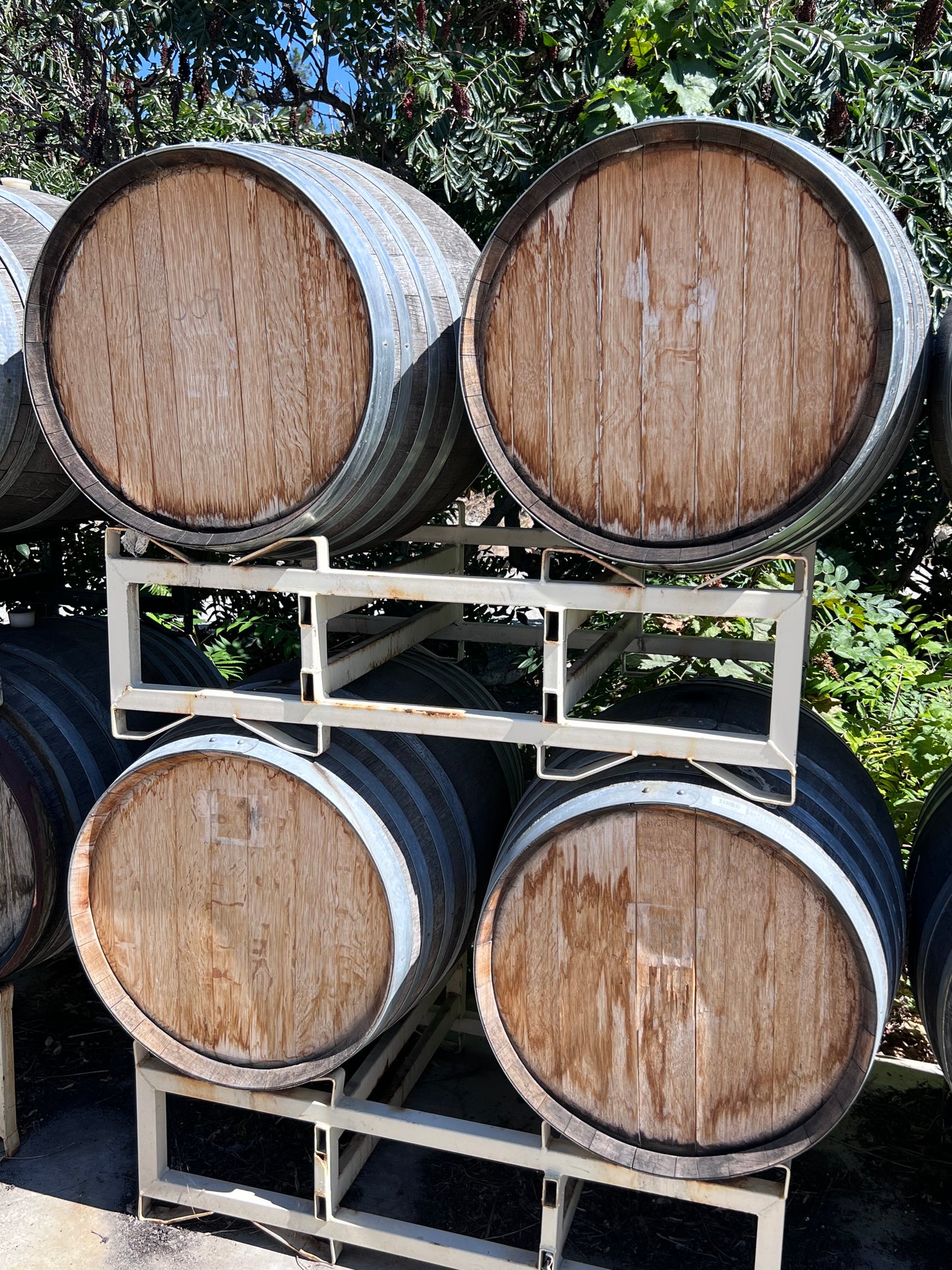 Wine Barrels  (used)