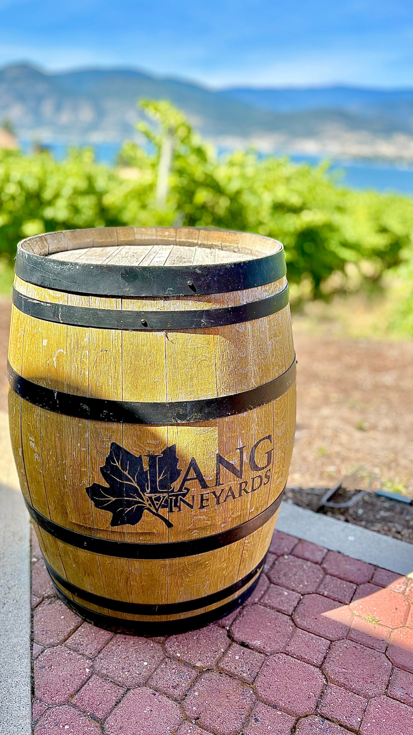 Wine Barrels  (used)